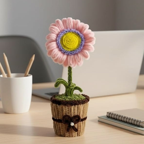 Blooms that live on your shelf.